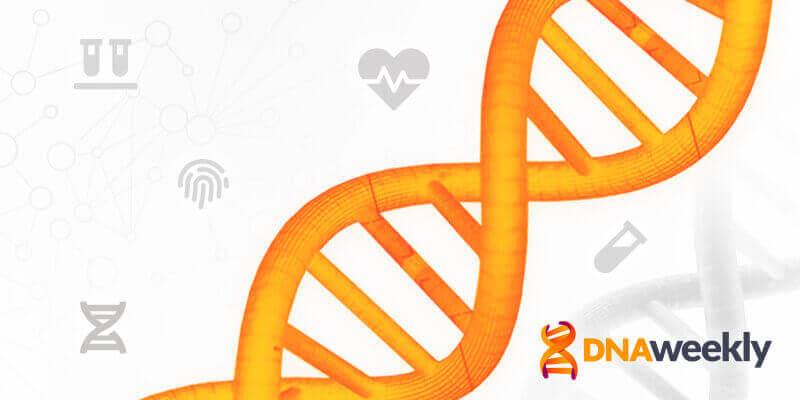 What Can a DNA Test Tell You About Your Ancestry in 2025?
