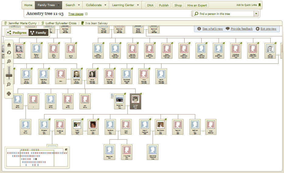 ancestrydna-review-2019-can-you-really-build-your-family-tree