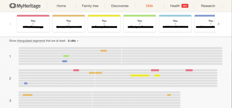 MyHeritage vs AncestryDNA - MyHeritage Chromosome Browser