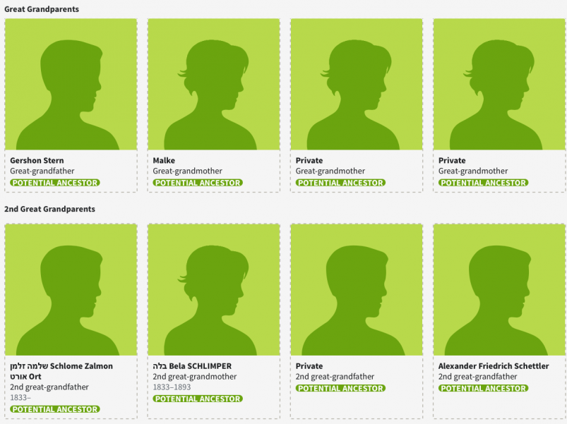 MyHeritage vs AncestryDNA - Ancestry Thru Lines