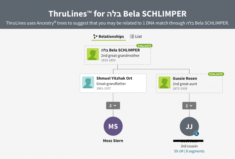 MyHeritage vs AncestryDNA - Ancestry Thru Lines