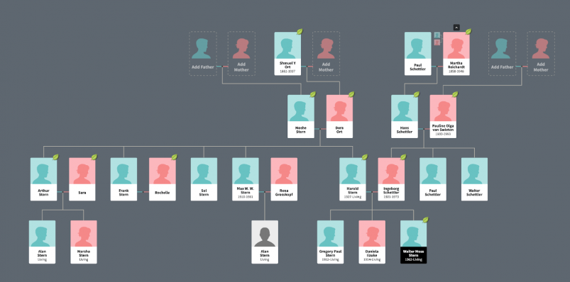 MyHeritage vs AncestryDNA - Ancestry Family Tree Builder