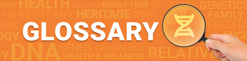 DNA Glossary: Key DNA Definitions to Know [2025 Update]