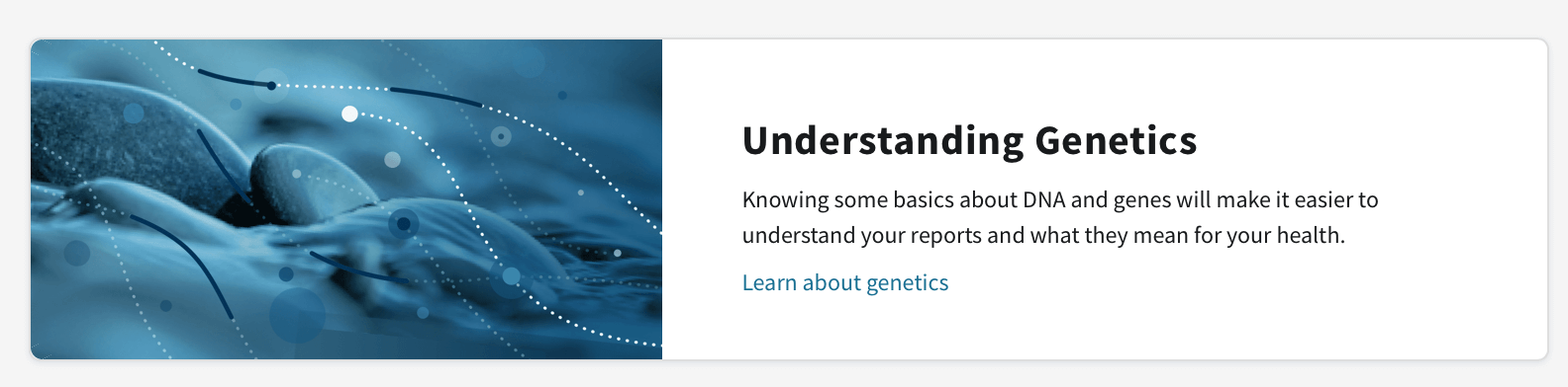 Đánh giá AncestryDNA