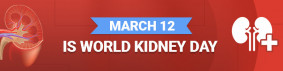 World Kidney Day 2024: What Should You Be Aware Of?