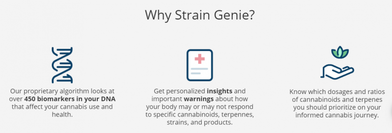 Interview with Nicco Reggente of Strain Genie