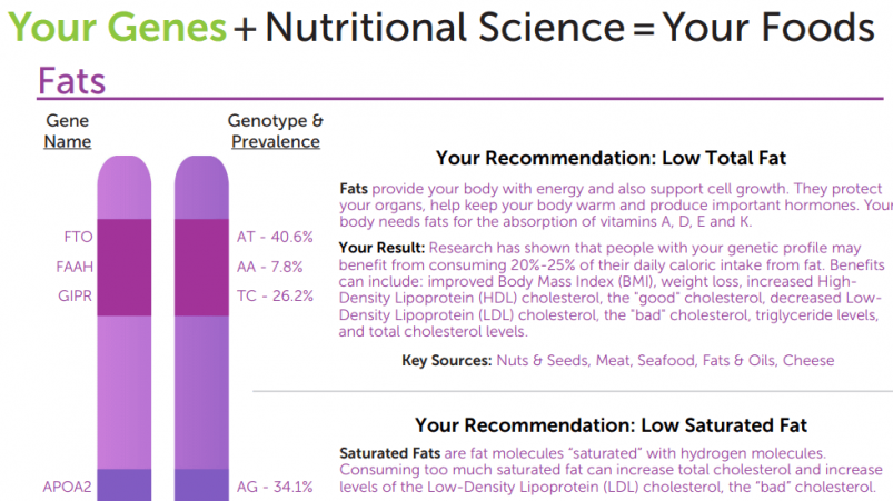 GenoPalate Review