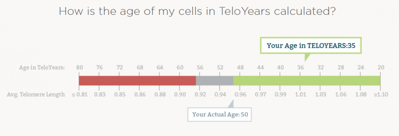 TeloYears Review