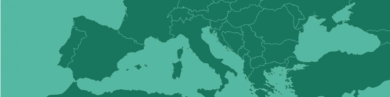 DNA Map: Most Common DNA Types in Europe & MENA 2024