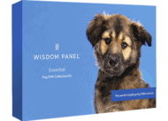 Wisdom Panel