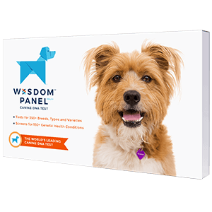 amazon wisdom panel 4.0