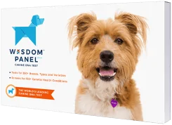 wisdom panel dna review