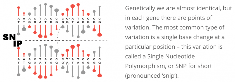 MightyDNA Analysis of Gene Variation