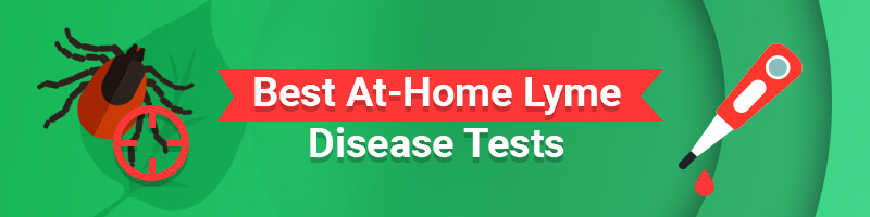 4 Best At-Home Lyme Disease Tests in 2023