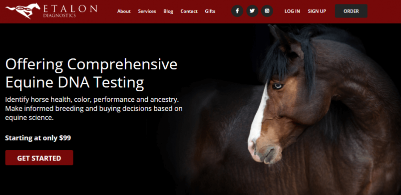 Etalon Diagnostics Homepage – Comprehensive Equine DNA Testing