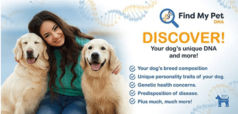 Find My Pet DNA Review