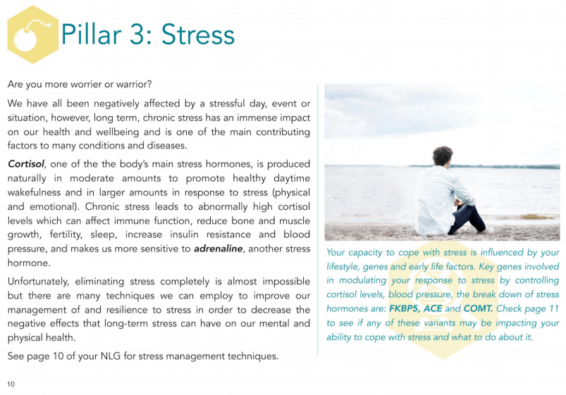 Vitagen DNA Report Stress Overview