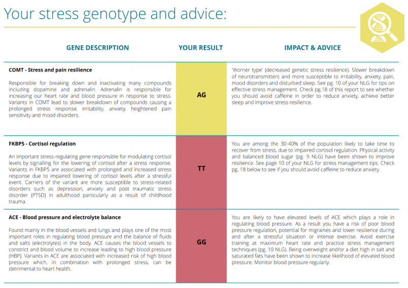 Vitagen DNA Report Stress Genotype and Advice