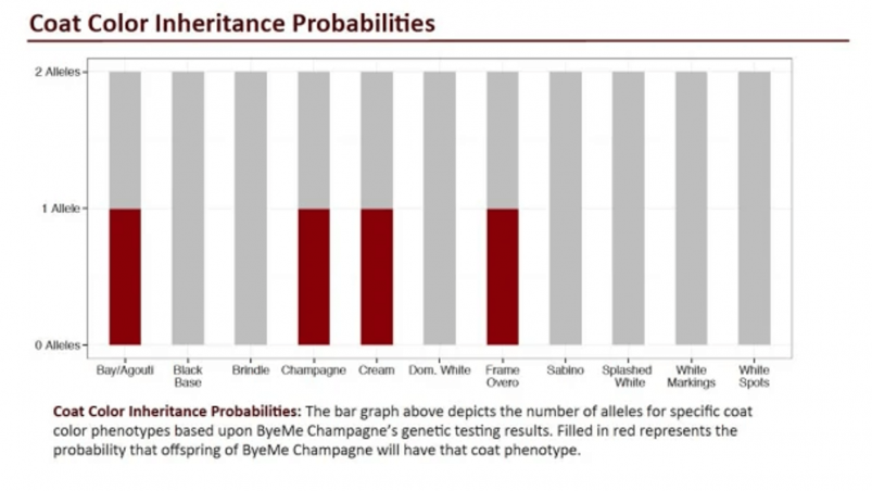 Etalon Diagnostics – Coat Color Inheritance Probabilities Report