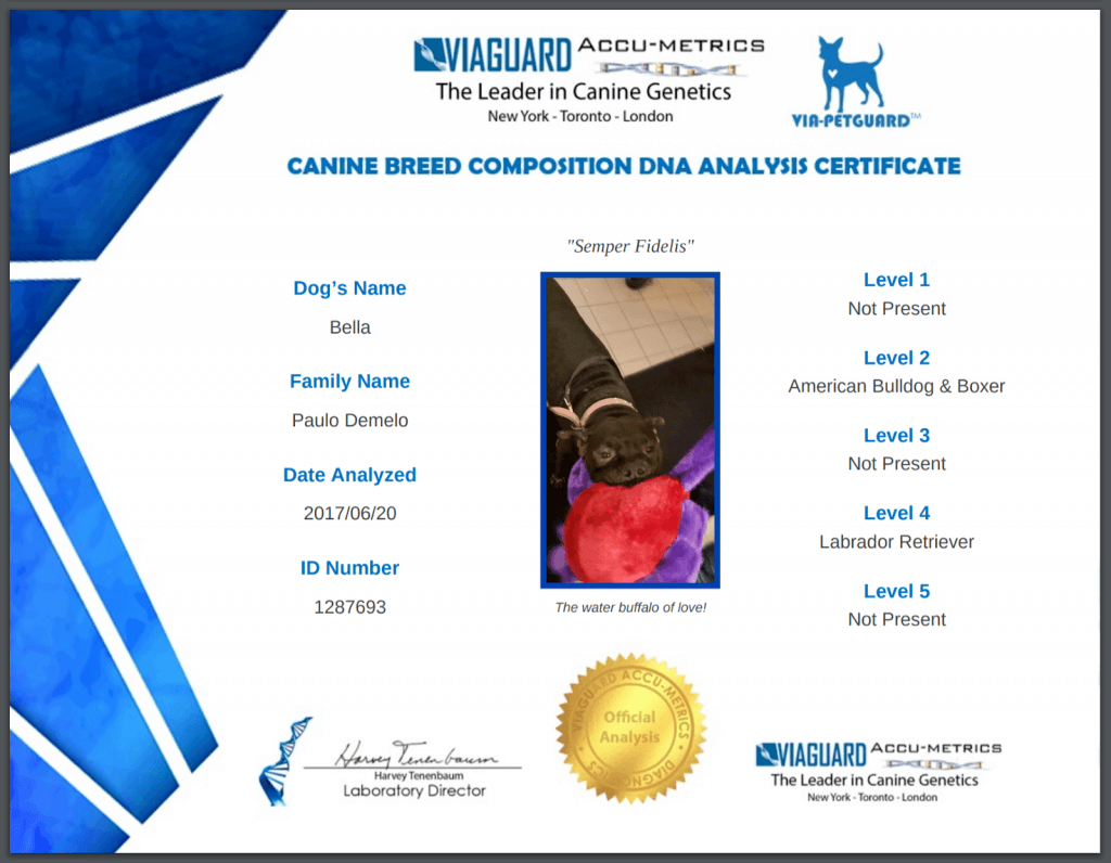 Viaguard Review 2025 DNA Testing For Animals Viaguard review 2025 dna testing for animals
