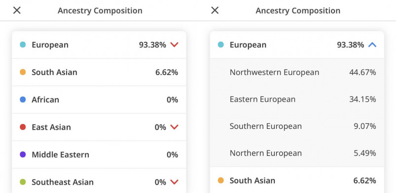 Circle DNA Ancestry Composition Report