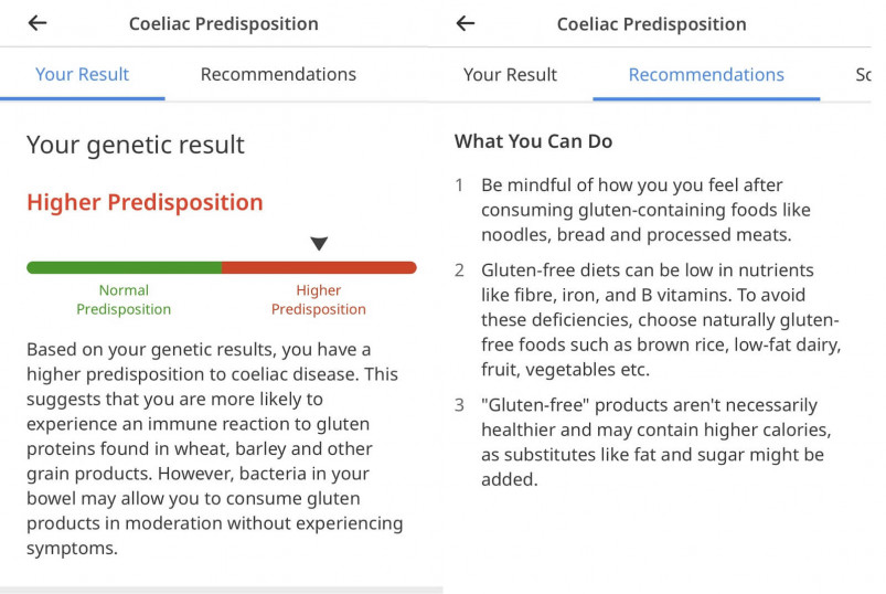 Circle DNA's Diet Report and Recommendations