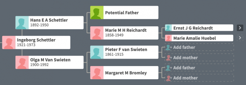 Family Tree by Ancestry's Potential Ancestry Match