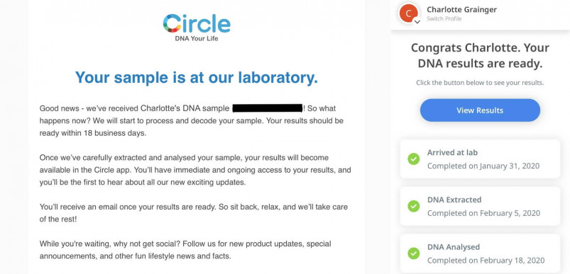 CircleDNA Review