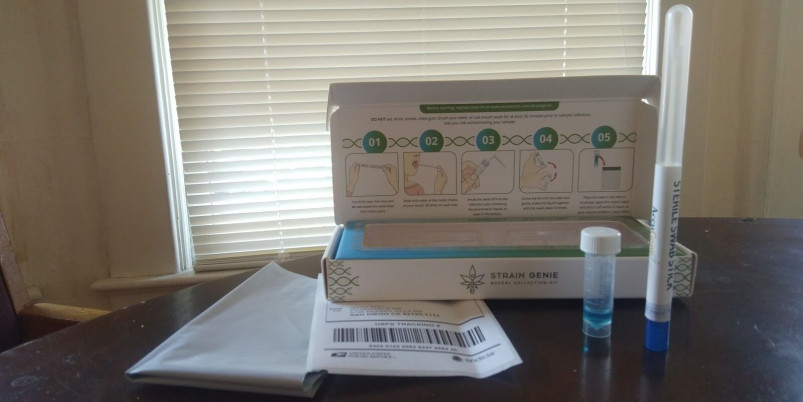 The Strain Genie at-home test kit arrives quickly. After a painless cheek swab you send it back with prepaid postage.