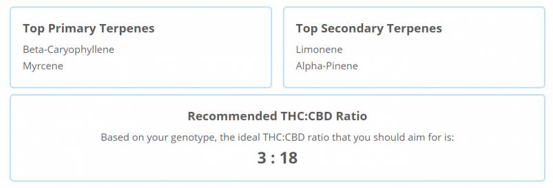 Strain Genie's cannabis health report includes a list of recommended terpenes as well as a THC:CBD ratio