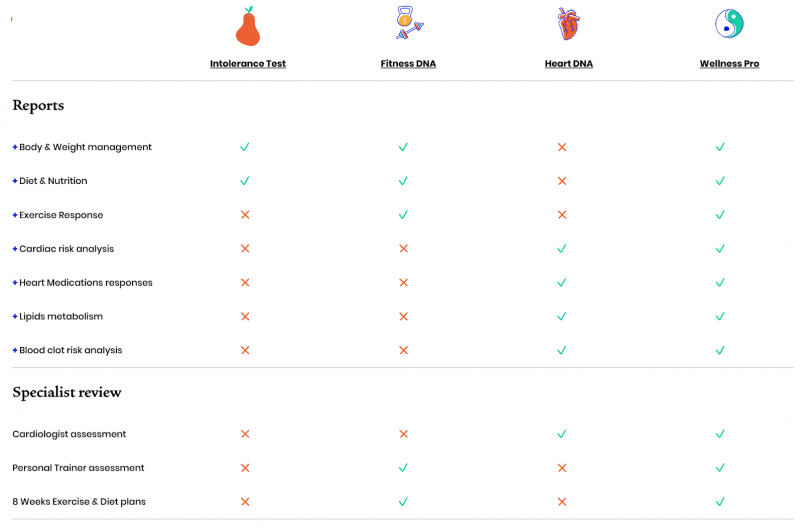 Comparing the Features of Rightangled's Different Tests