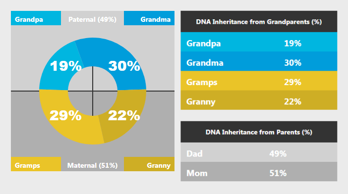 What makes your service unique?