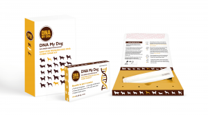 What kind of information can a pet owner expect to receive after doing a dog DNA test?