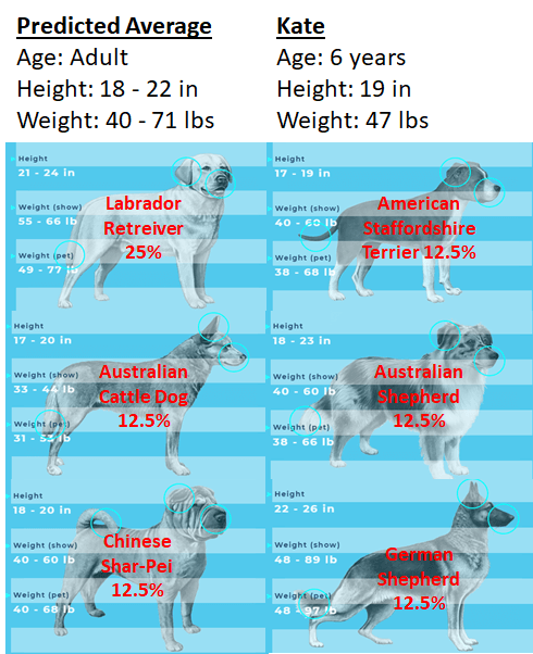 Wisdom Panel Review