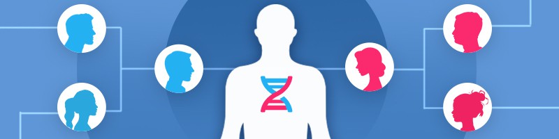 FamilyTreeDNA vs. 23andMe 2024: Who Gets More From Your DNA?
