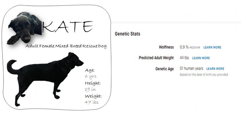 Embark Dog DNA Test Genetic Statistics Results