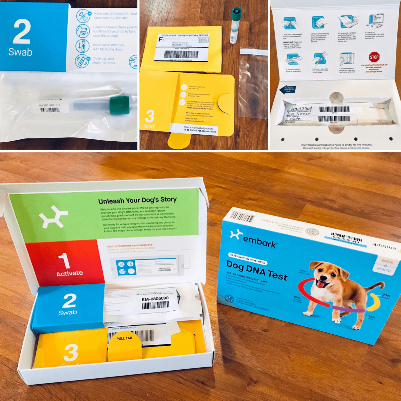 Example of Embark Dog DNA Test Kit including contents.