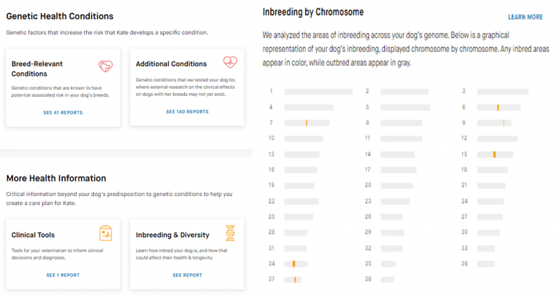 Sample reports from Embark's Dog Genetic Health Test