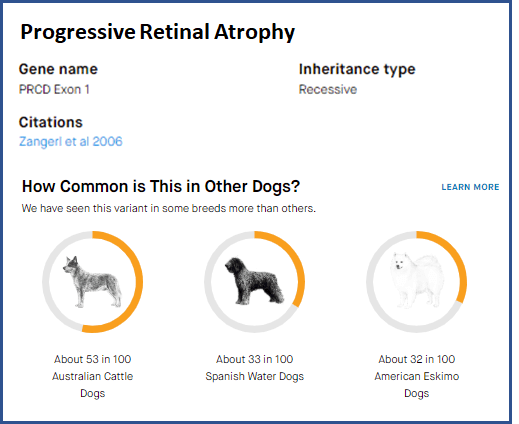 Embark Dog DNA Test - Carrier for Genetic Disease