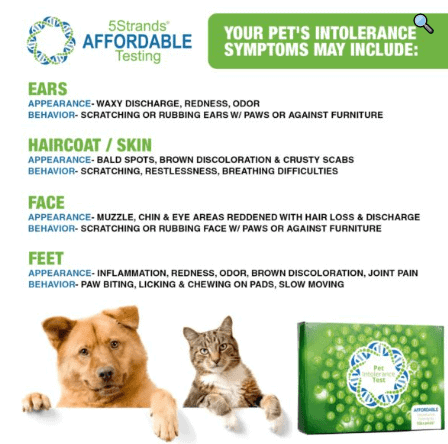 5 strands pet intolerance symptoms card