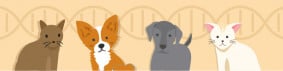 5 Best Dog DNA Test Kits in 2024 (Fast & Affordable)