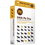 DNA My Dog