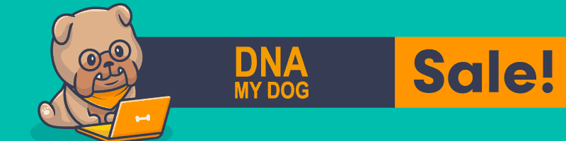 DNA My Dog Black Friday Deal