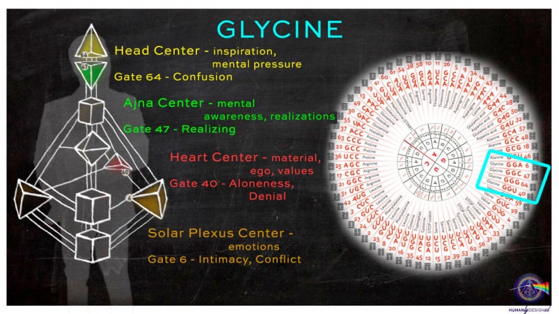 Glycine in human design