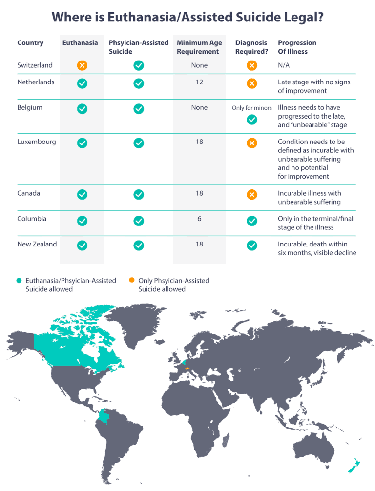 The Complete Guide to Euthanasia in 2024 When is it Legal?