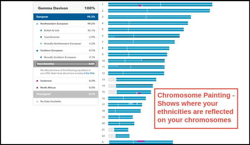 23andMe Chromosome Painting