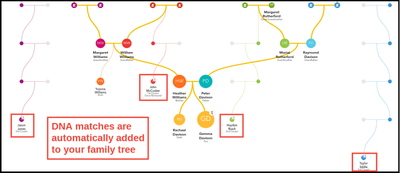 23andMe Family Tree