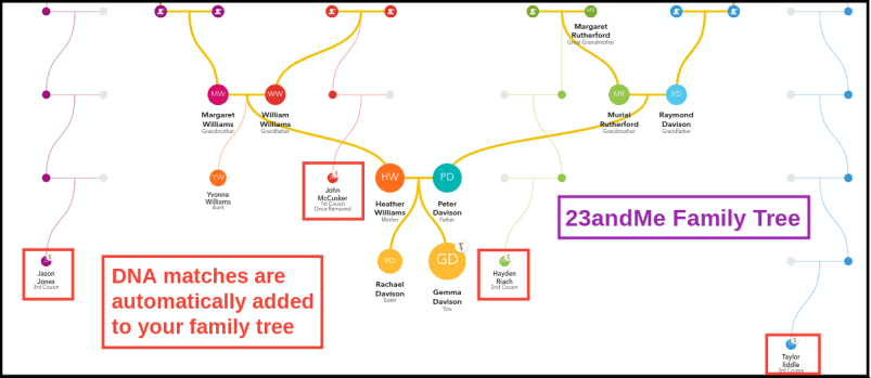 23andMe Family Tree Builder