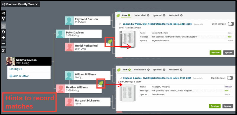 Ancestry Family Tree Record Hints