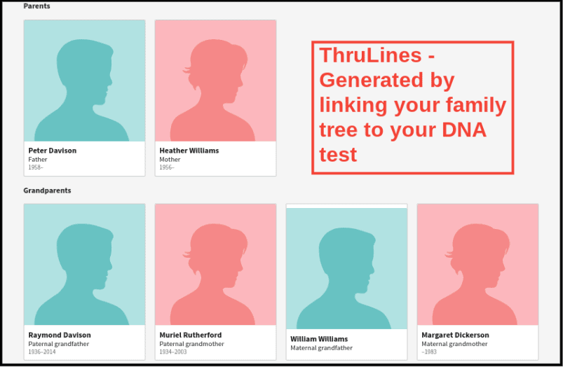 AncestryDNA ThruLines